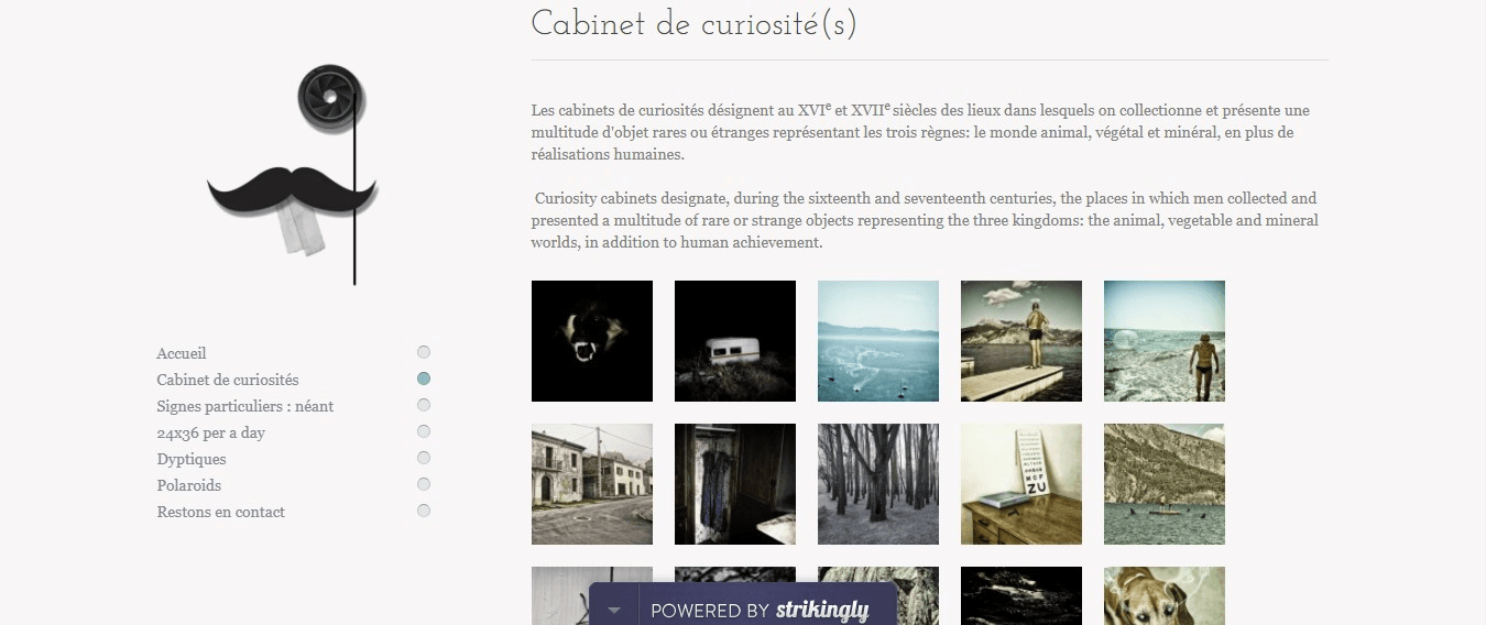 screenshot aus Zinni Colonna Website screenshot aus Zinni Colonna Website